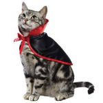 f4717c63ac9c0af1866a8cfc9d8b5ab9--halloween-costumes-for-cats-pet-costumes