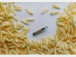 microchip-rice